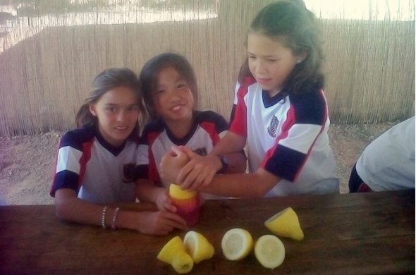 Alumnas de primaria exprimiendo limones en La Albulquería Alumnas de primaria exprimiendo limones en La Albulquería