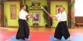 stephane goffin curso aikido mit school malaga