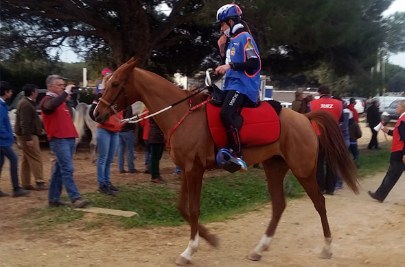 Andrea Trujillo premio hipica andalucia mit school malaga