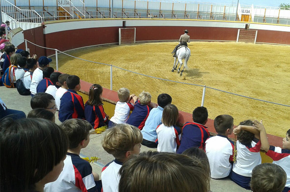 Estudiantes de MIT School disfrutando de una demostración de hípica