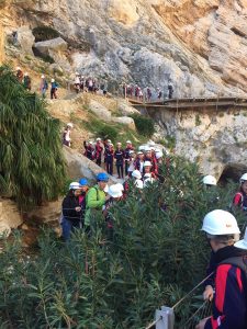 23434994_1745476455464705_4841308667016752607_n