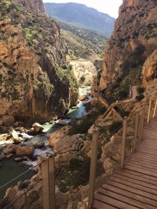 23435160_1745476518798032_2834999753761043555_n